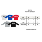 Aesthetic L Longleeve